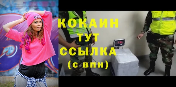 твердый Алзамай