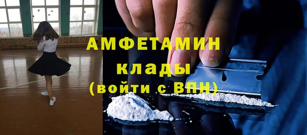 СК Алексин