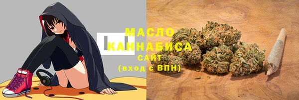СК Алексин