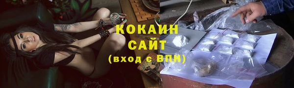 СК Алексин