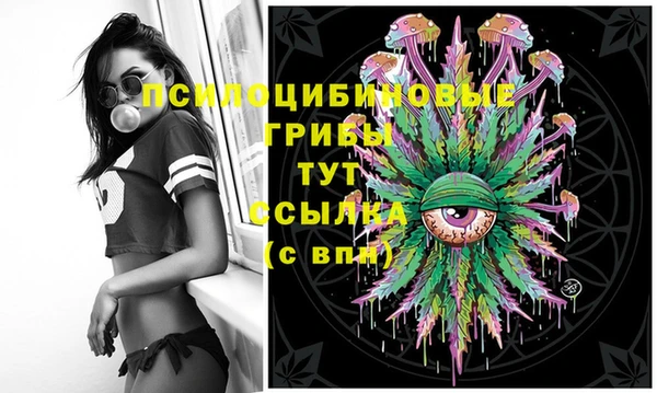 твердый Алзамай