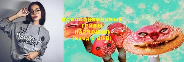 PSILOCYBIN Алексеевка